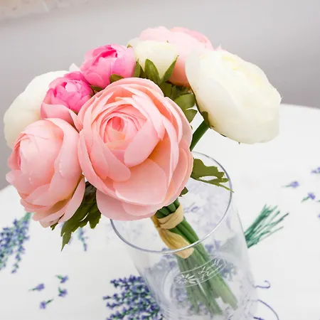 Cuk Gostinjska kuća Dubrovnik